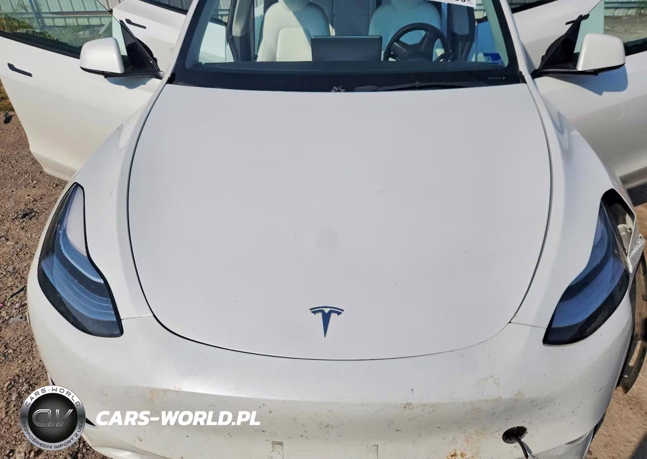 2023 Tesla Model Y VIN:7SAYGDEE2PF616940 - 11