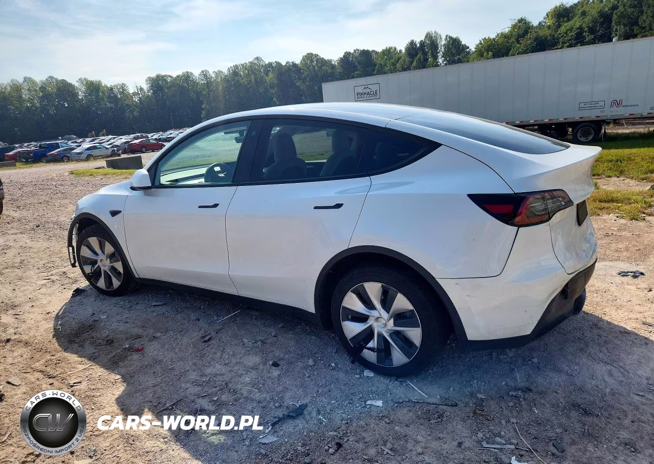 2023 Tesla Model Y VIN:7SAYGDEE2PF616940 - 2