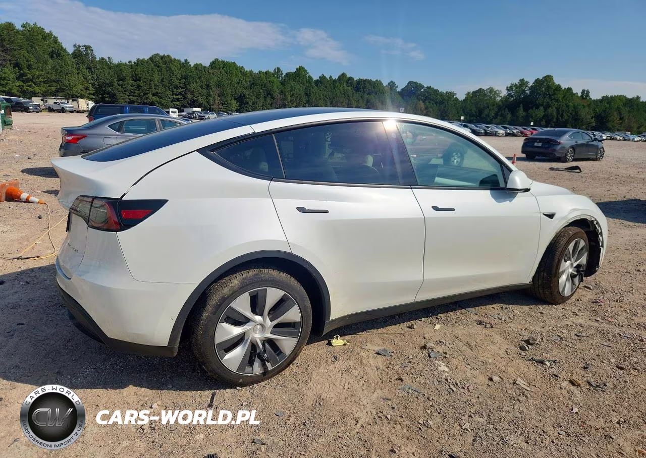 2023 Tesla Model Y VIN:7SAYGDEE2PF616940 - 3