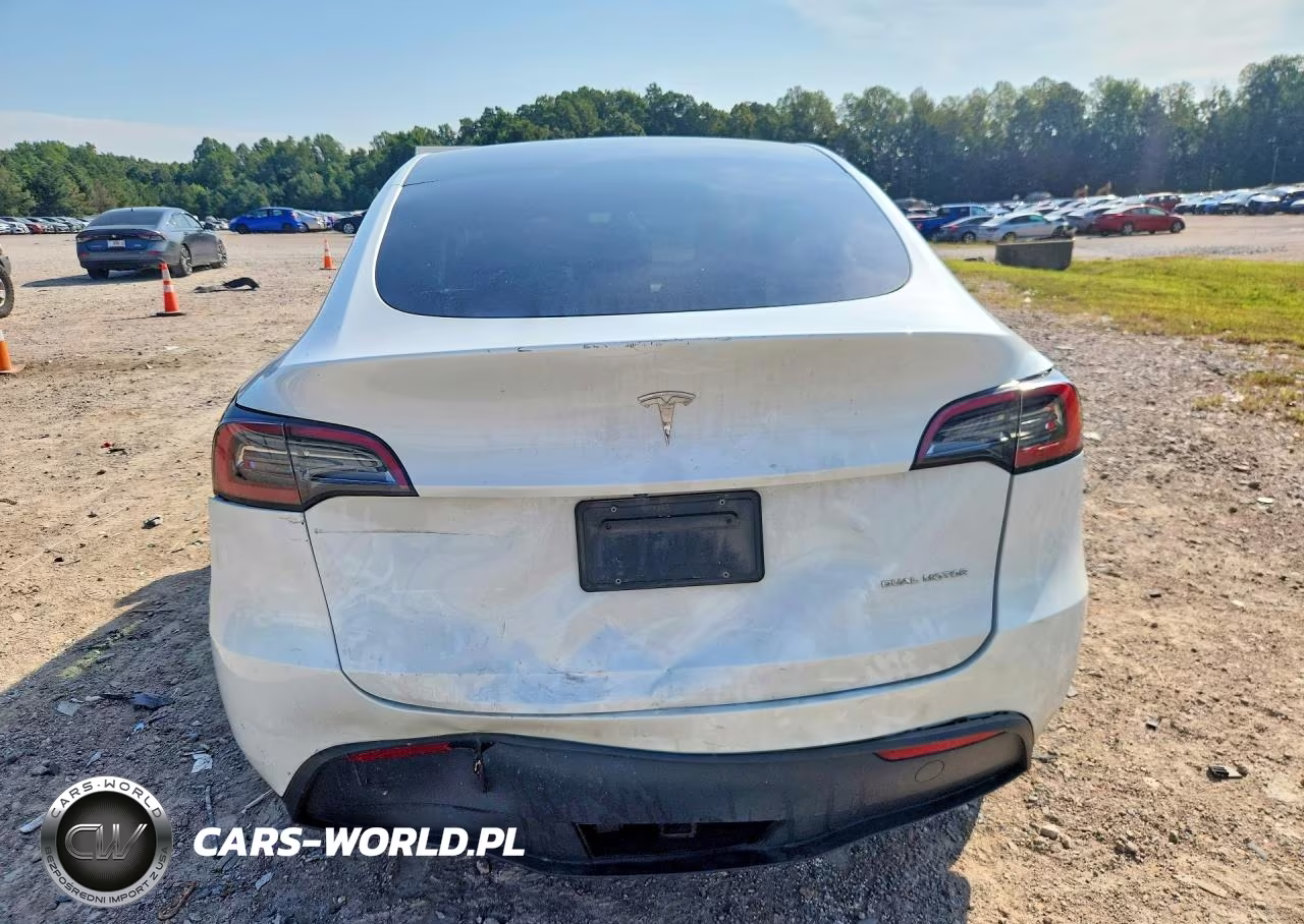 2023 Tesla Model Y VIN:7SAYGDEE2PF616940 - 6