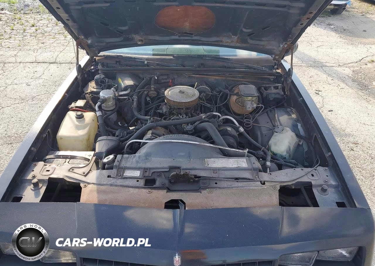 1988 Chevrolet Monte Carlo VIN:1G1GZ11G4JP122125 - 11