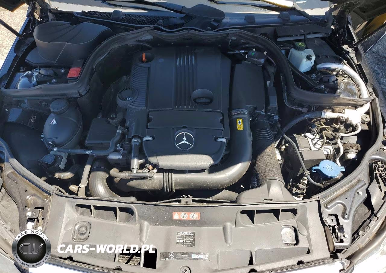 2013 Mercedes-Benz C 250 VIN:WDDGF4HB2DR244203 - 11