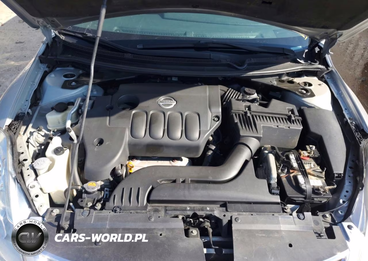 2010 Nissan Altima 2.5 VIN:1N4AL2AP5AC113970 - 11