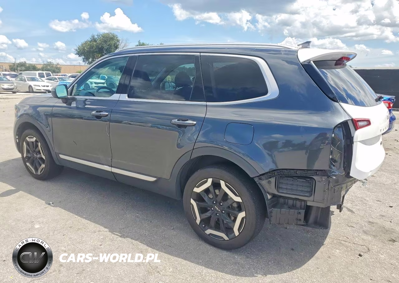 2023 Kia Telluride S VIN:5XYP64GC0PG367599 - 2