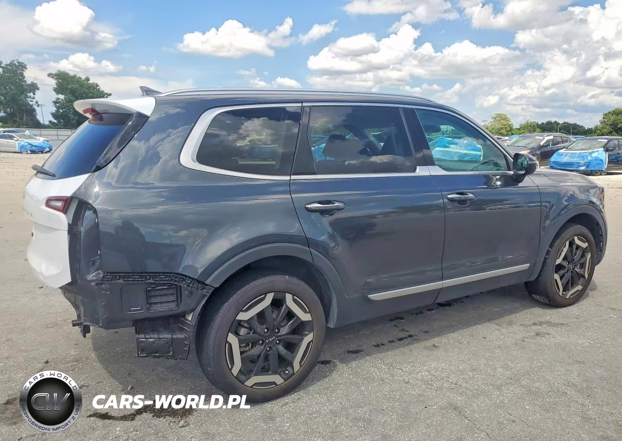 2023 Kia Telluride S VIN:5XYP64GC0PG367599 - 3
