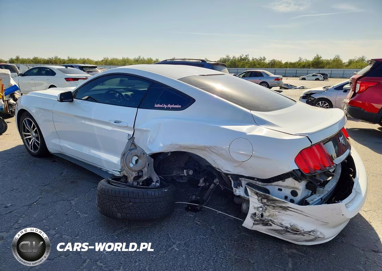 2017 Ford Mustang VIN:1FA6P8TH9H5217766 - 2
