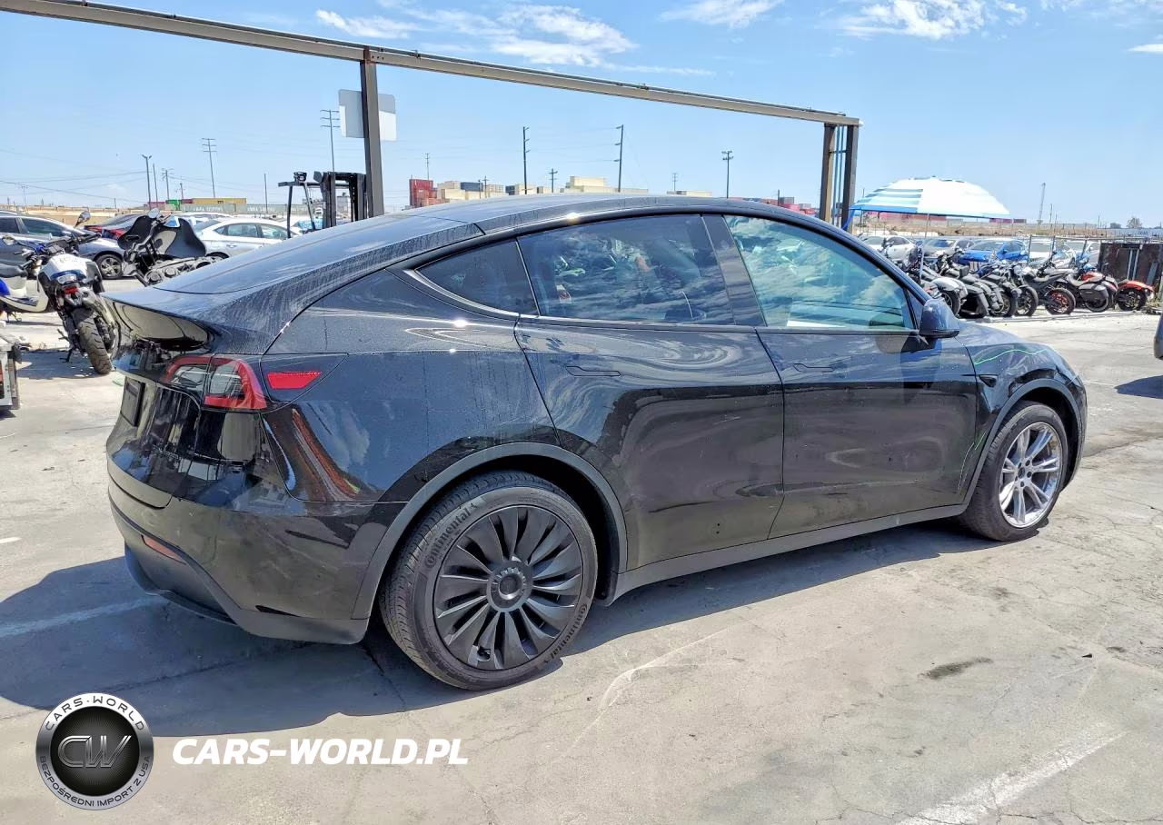 2023 Tesla Model Y VIN:7SAYGDEE0PF882439 - 3