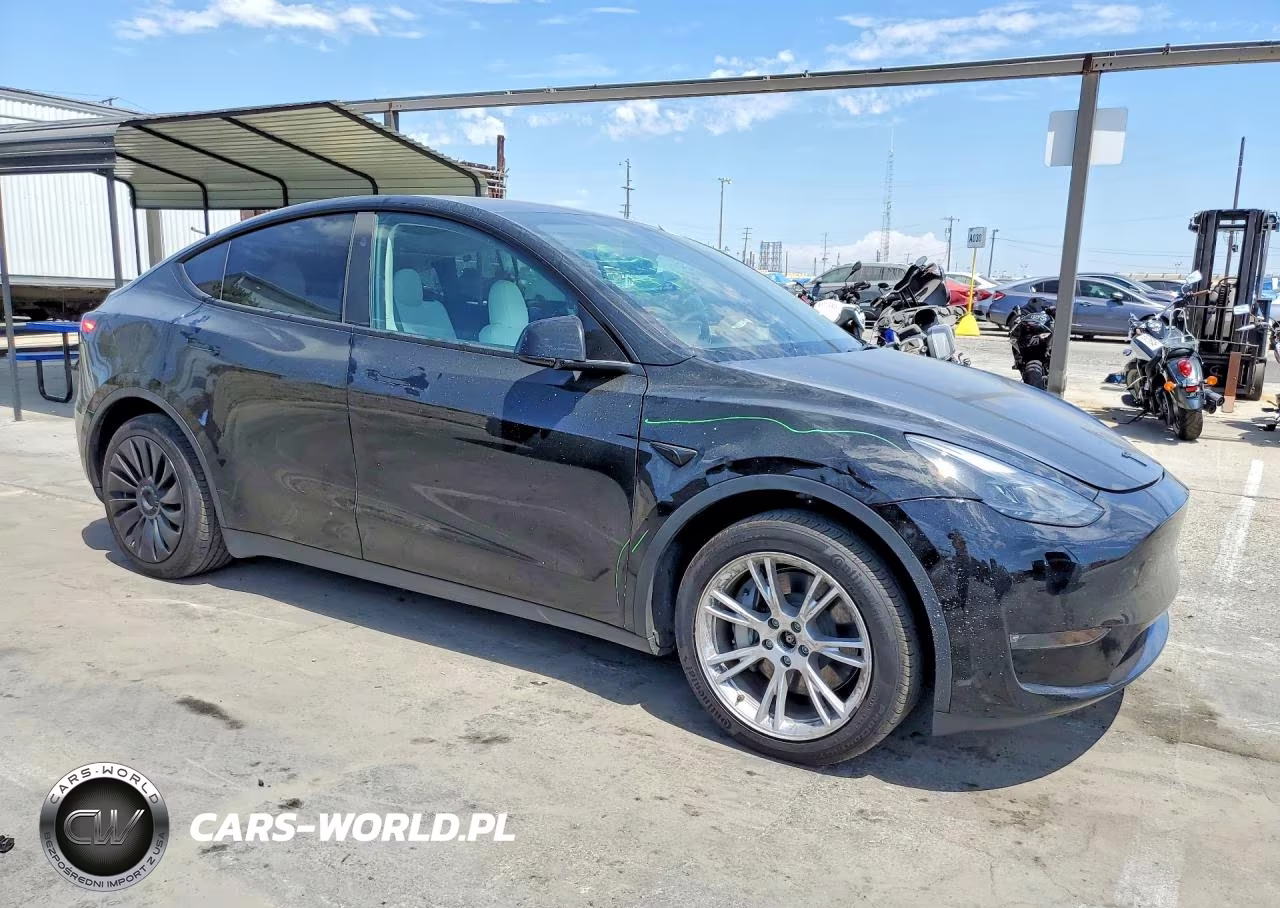 2023 Tesla Model Y VIN:7SAYGDEE0PF882439 - 4