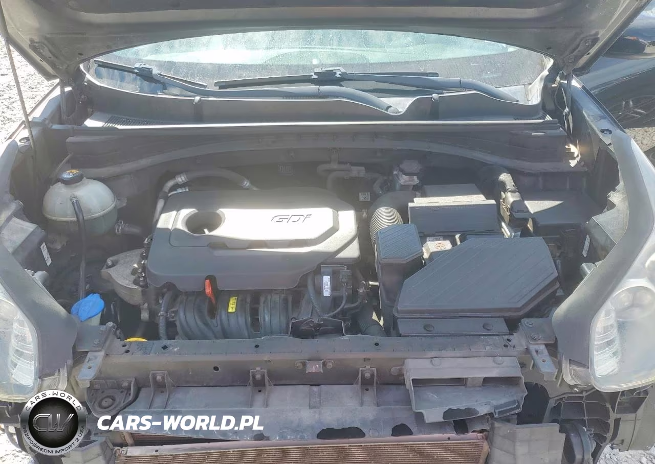 2019 Kia Sportage Lx VIN:KNDPM3AC1K7515015 - 12