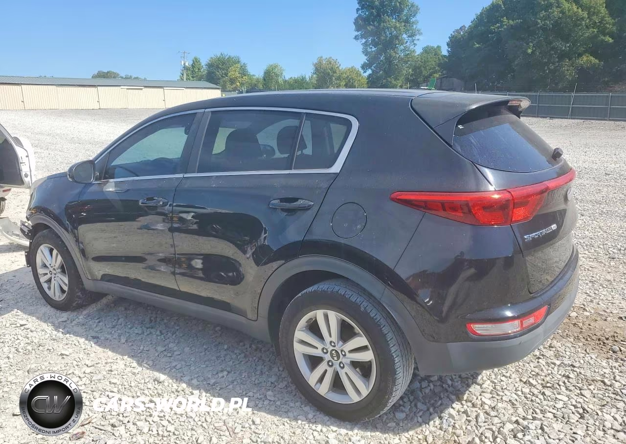 2019 Kia Sportage Lx VIN:KNDPM3AC1K7515015 - 2