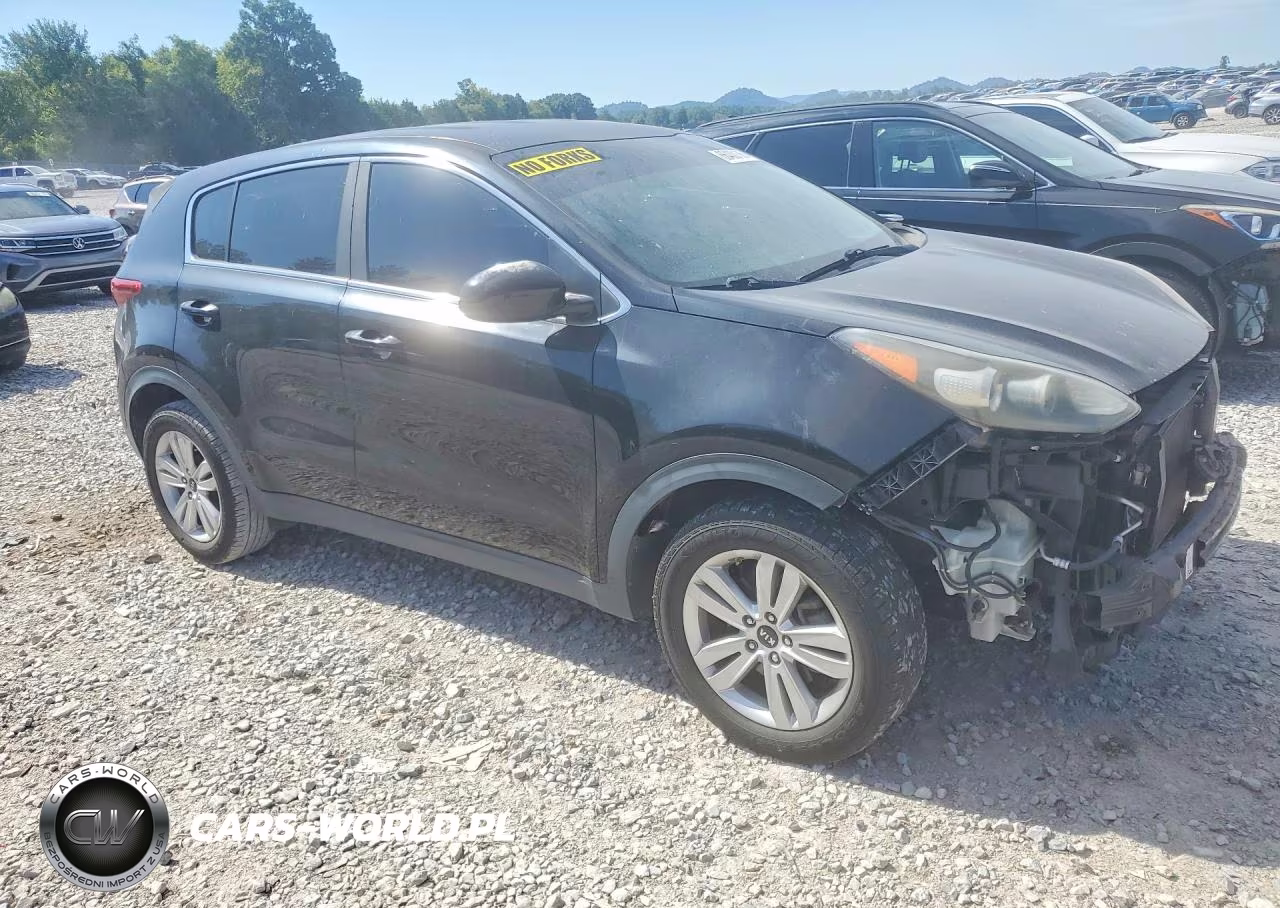 2019 Kia Sportage Lx VIN:KNDPM3AC1K7515015 - 4