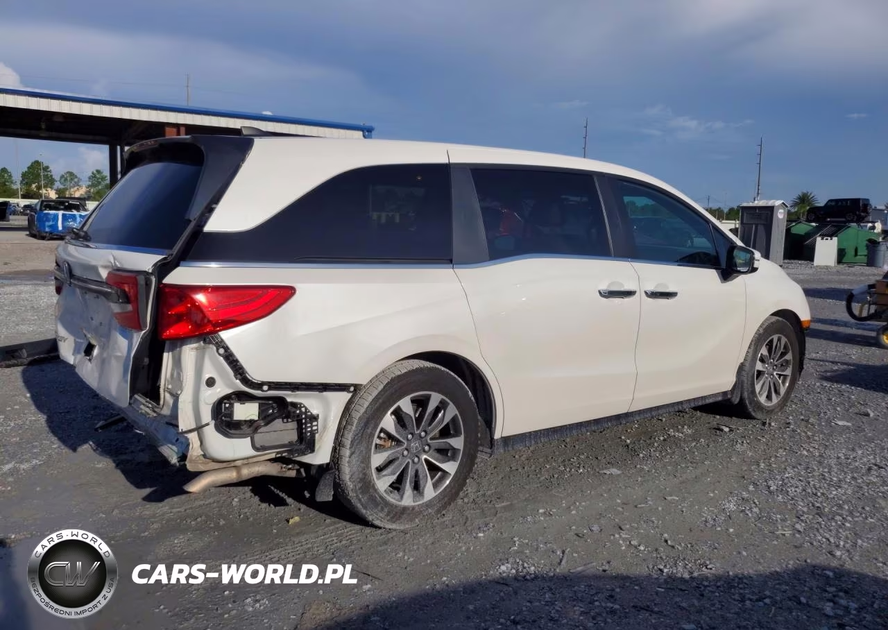 2024 Honda Odyssey Exl VIN:5FNRL6H65RB059828 - 3