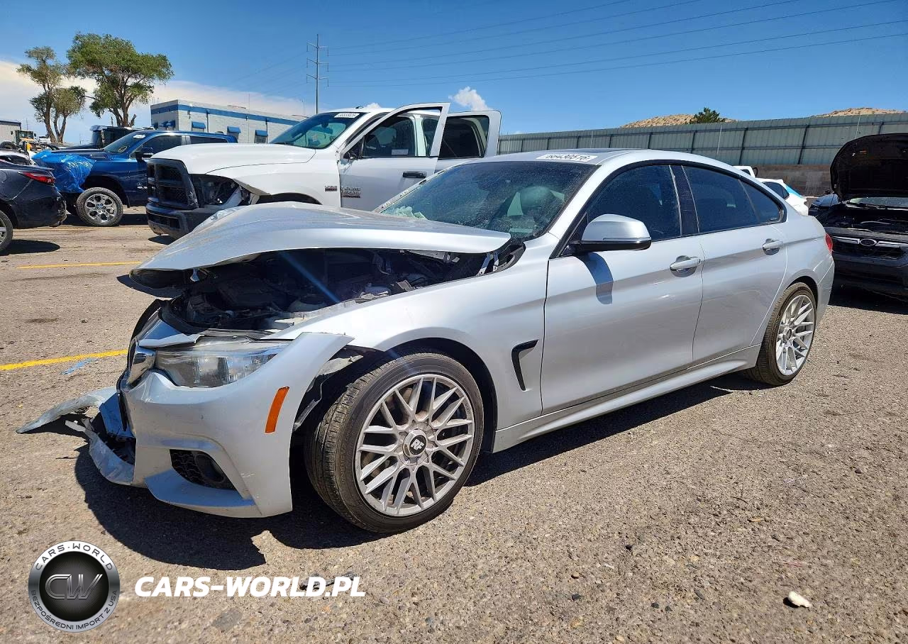 2016 BMW 428 I Gran Coupe Sulev VIN:WBA4A9C50GG505173 - 1