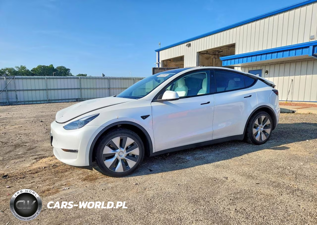 2023 Tesla Model Y VIN:7SAYGDEE8PF815023 - 1