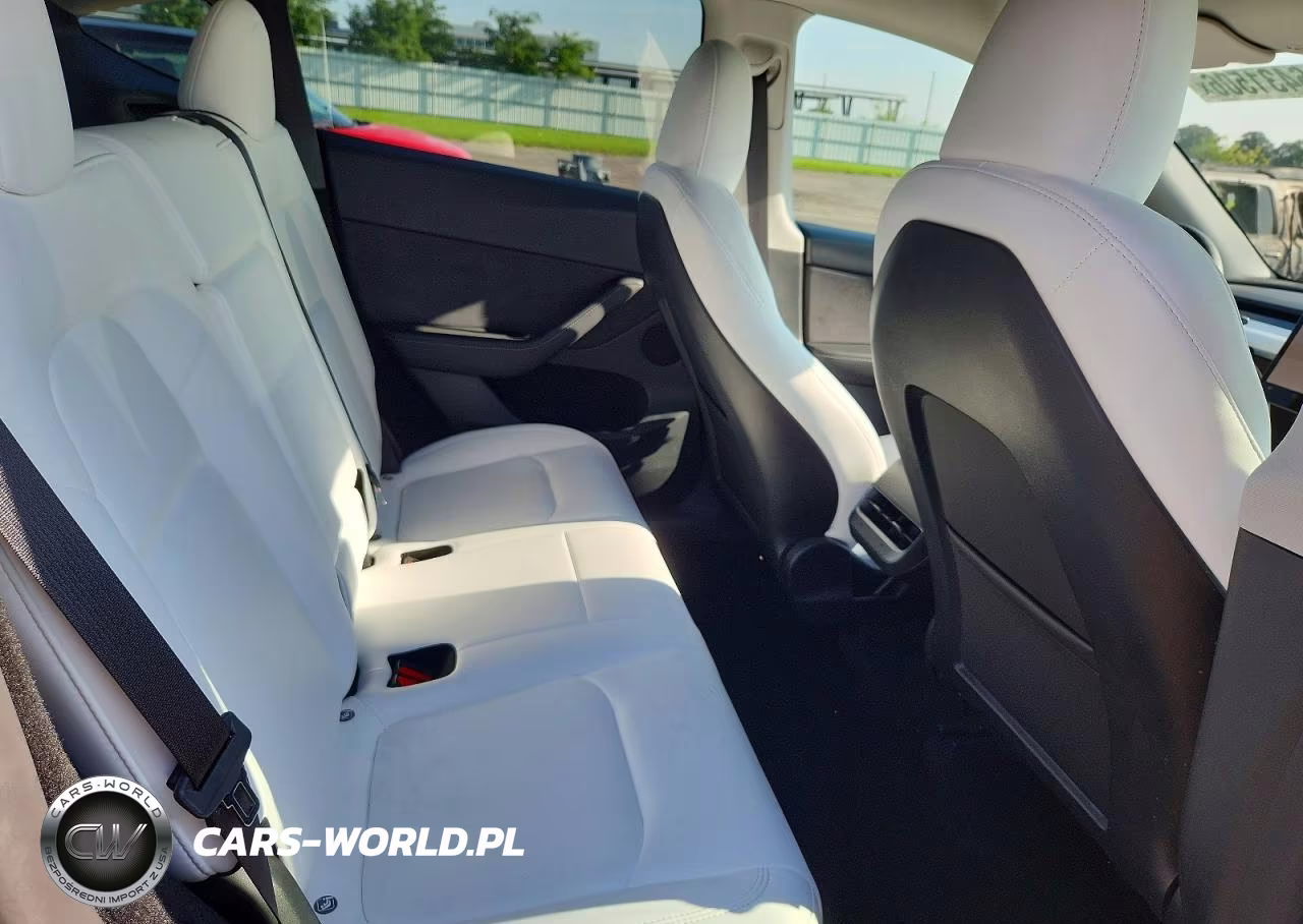 2023 Tesla Model Y VIN:7SAYGDEE8PF815023 - 10