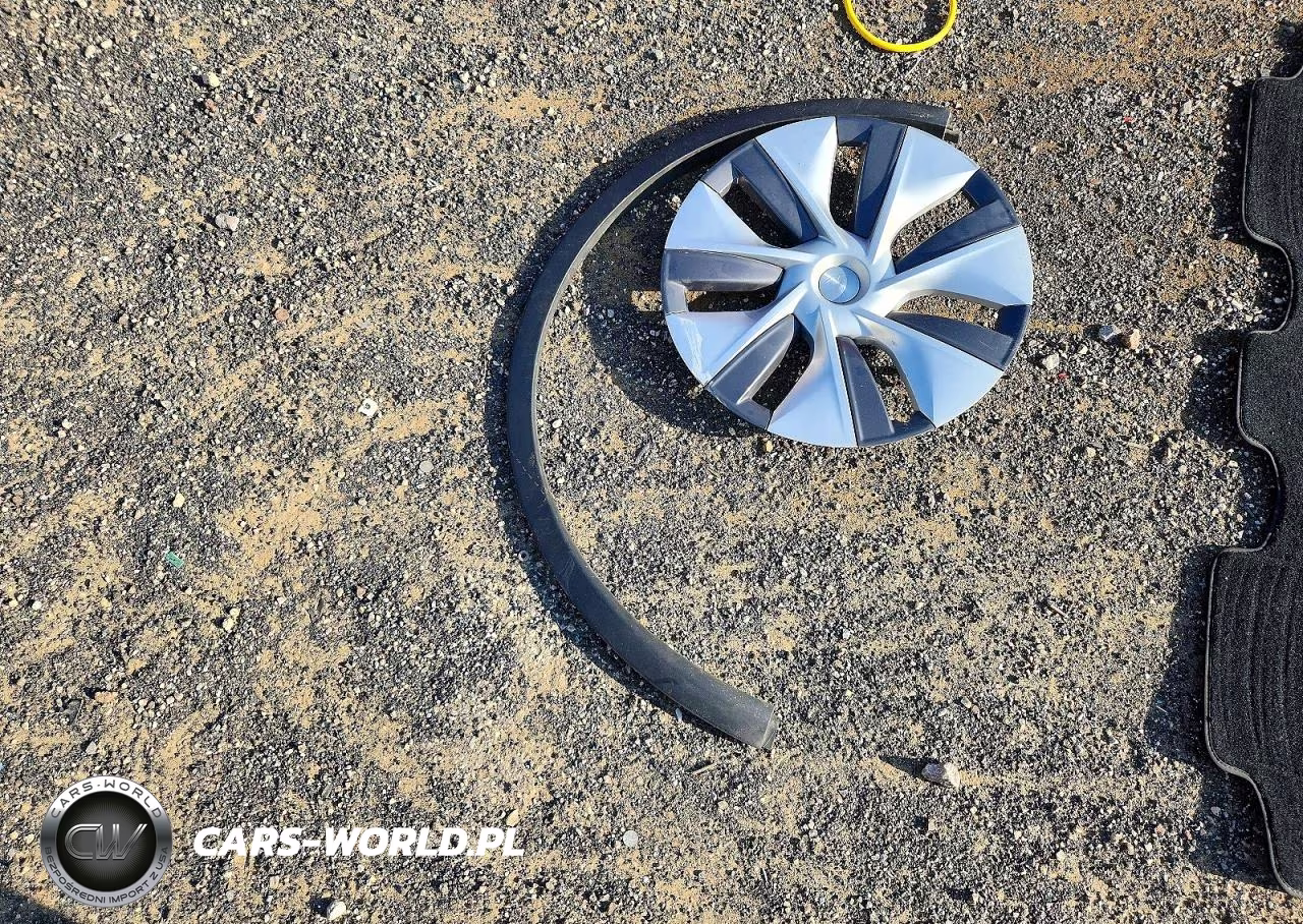 2023 Tesla Model Y VIN:7SAYGDEE8PF815023 - 12