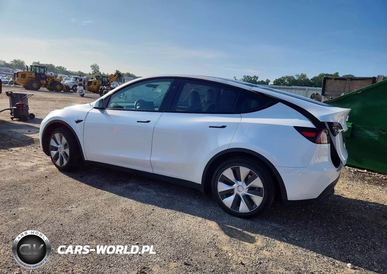 2023 Tesla Model Y VIN:7SAYGDEE8PF815023 - 2