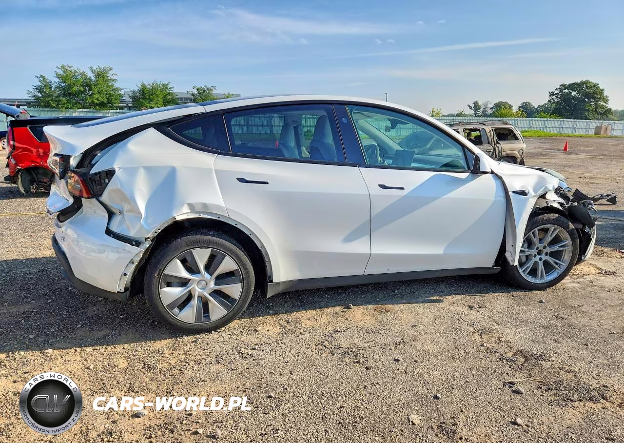 2023 Tesla Model Y VIN:7SAYGDEE8PF815023 - 3