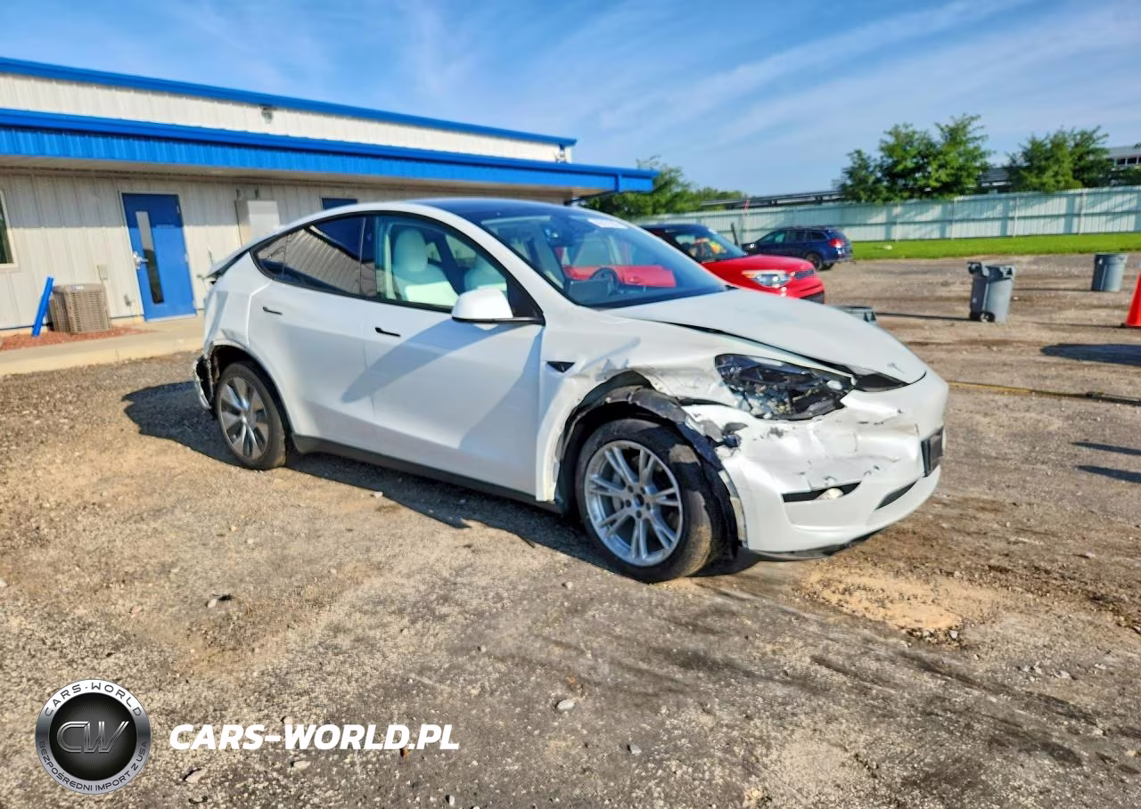 2023 Tesla Model Y VIN:7SAYGDEE8PF815023 - 4