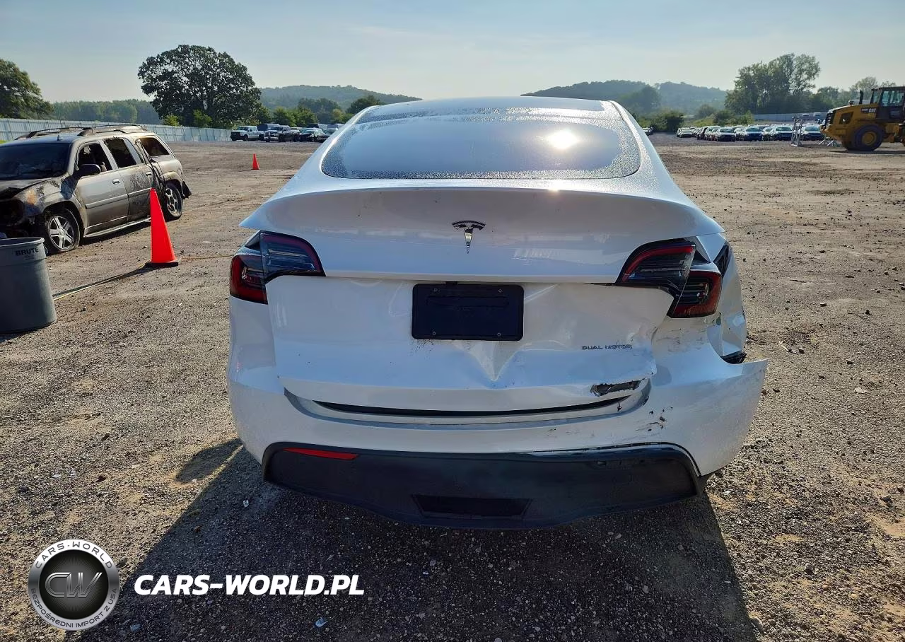 2023 Tesla Model Y VIN:7SAYGDEE8PF815023 - 6