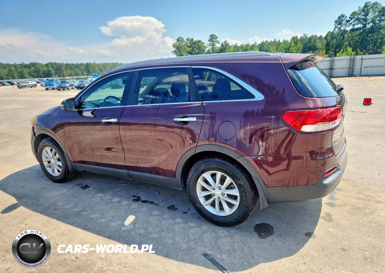 2017 Kia Sorento Lx VIN:5XYPG4A3XHG262155 - 2
