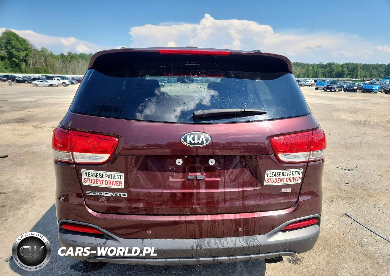2017 Kia Sorento Lx VIN:5XYPG4A3XHG262155 - 6