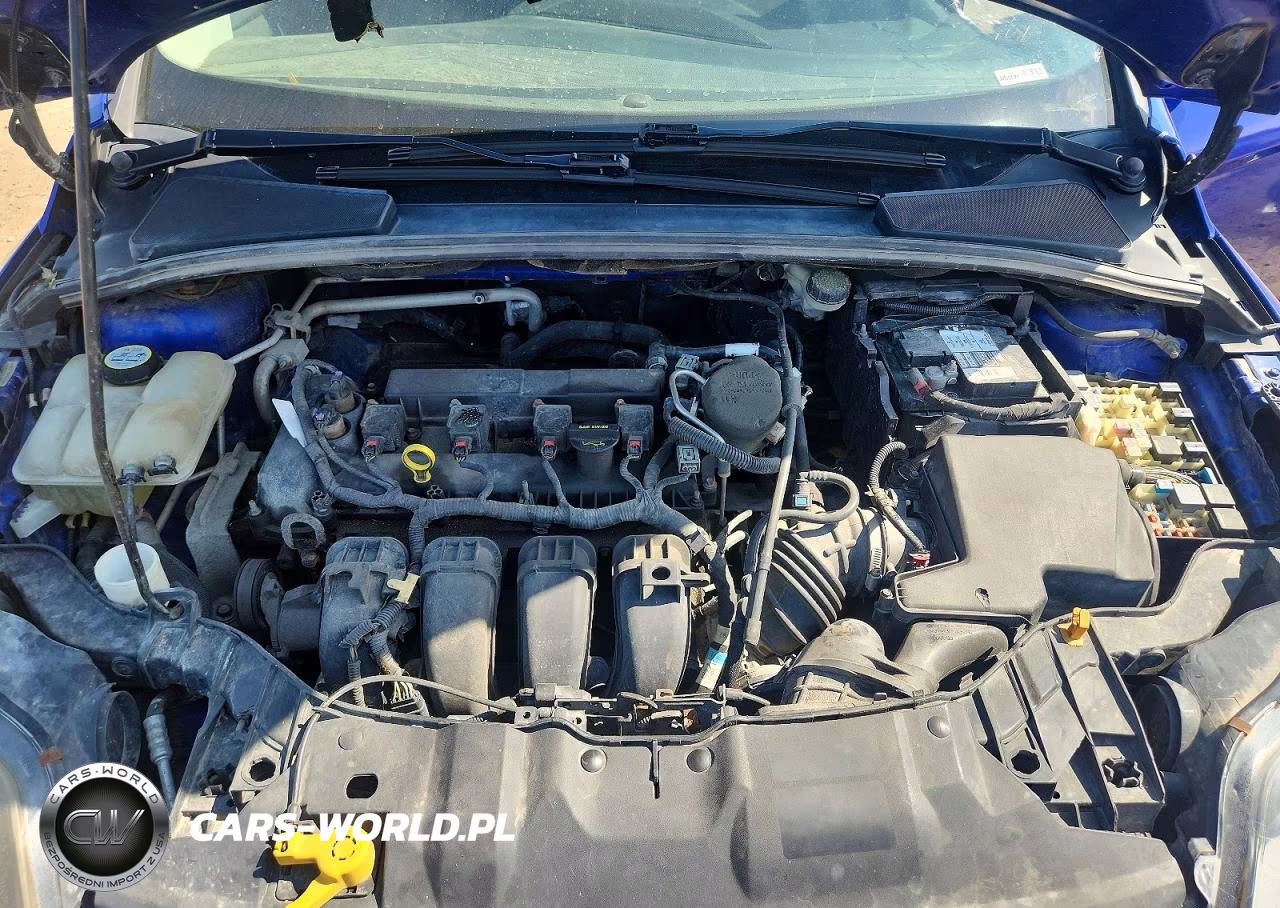 2013 Ford Focus Titanium VIN:1FADP3N2XDL327931 - 11