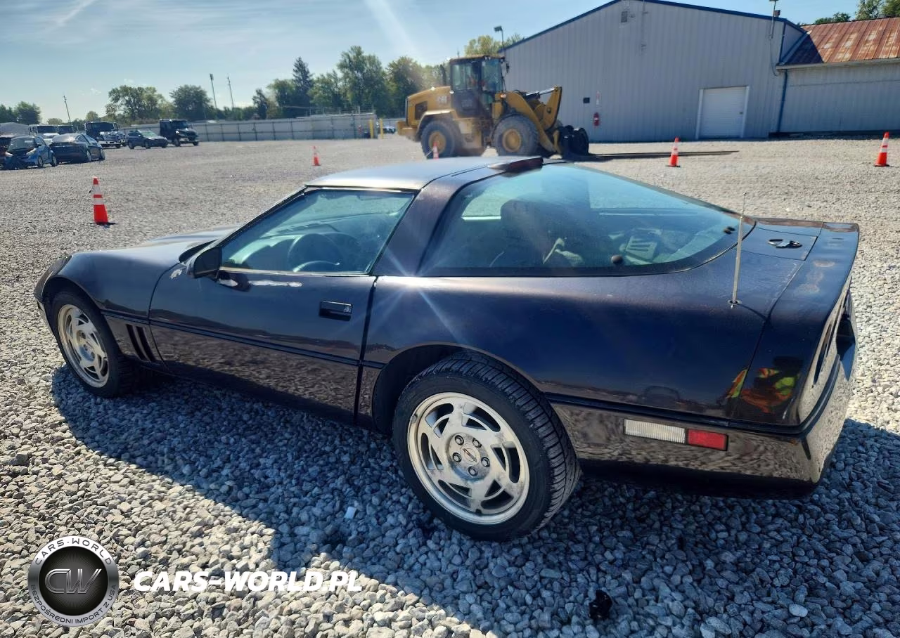 1990 Chevrolet Corvette VIN:1G1YY2388L5102901 - 2