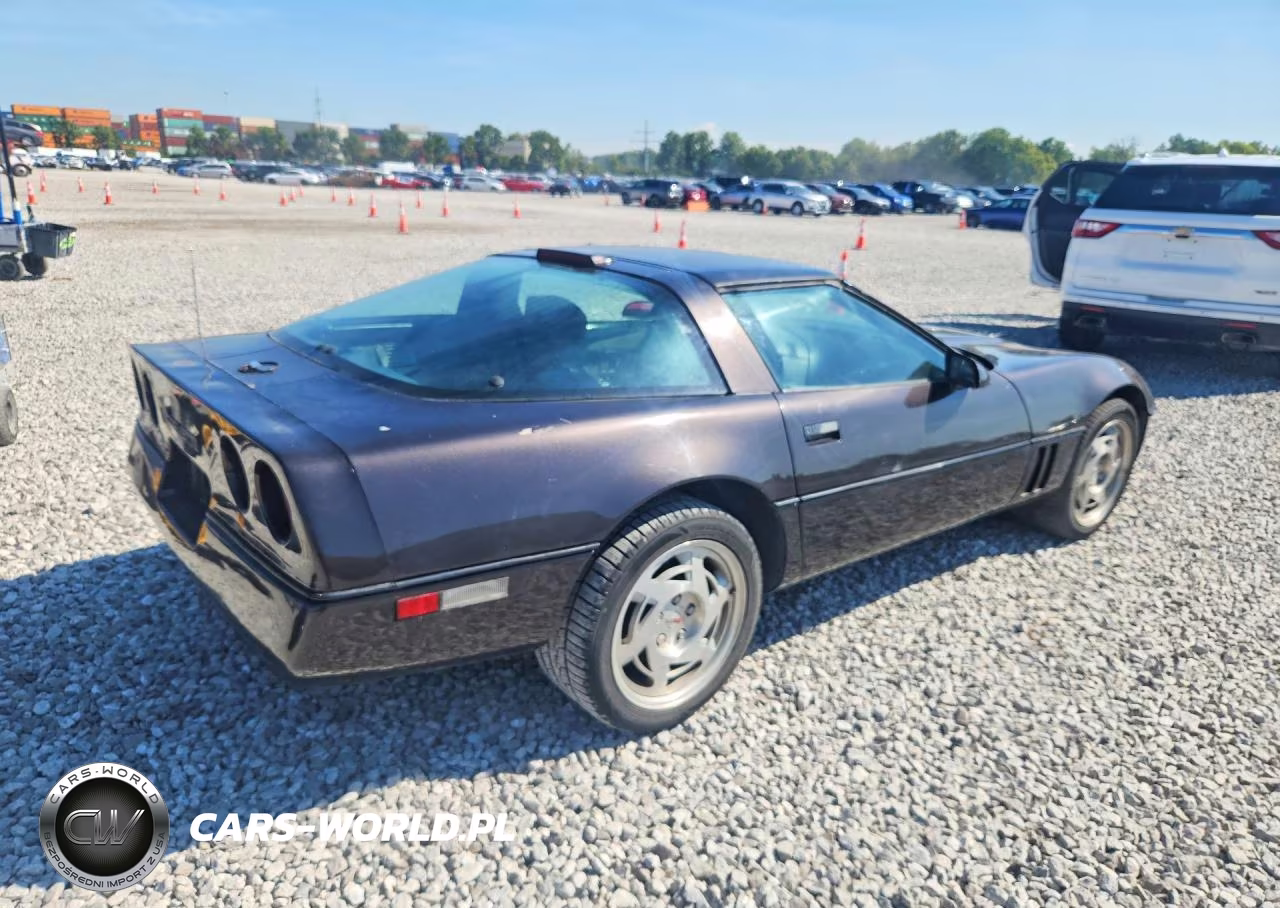 1990 Chevrolet Corvette VIN:1G1YY2388L5102901 - 3
