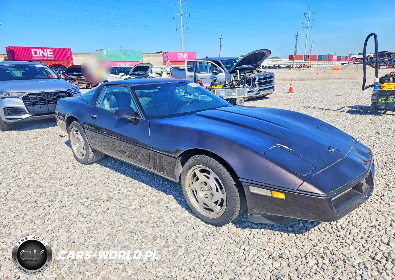 1990 Chevrolet Corvette VIN:1G1YY2388L5102901 - 4