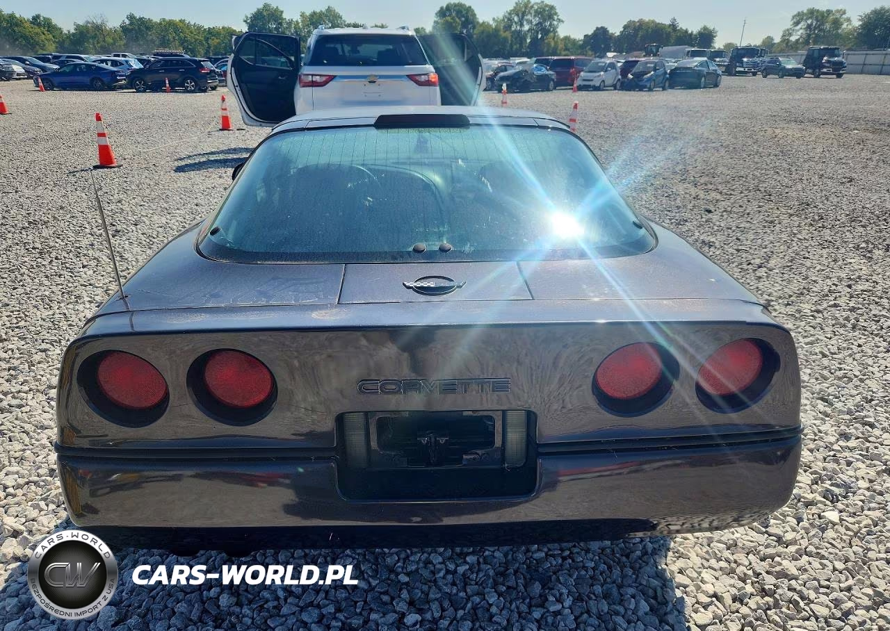 1990 Chevrolet Corvette VIN:1G1YY2388L5102901 - 6