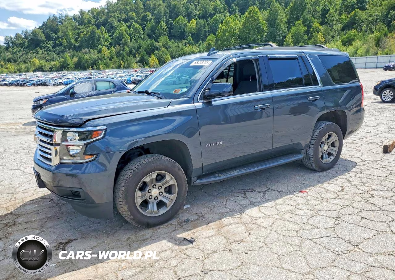 2020 Chevrolet Tahoe K1500 Ls VIN:1GNSKAKC7LR132101 - 1