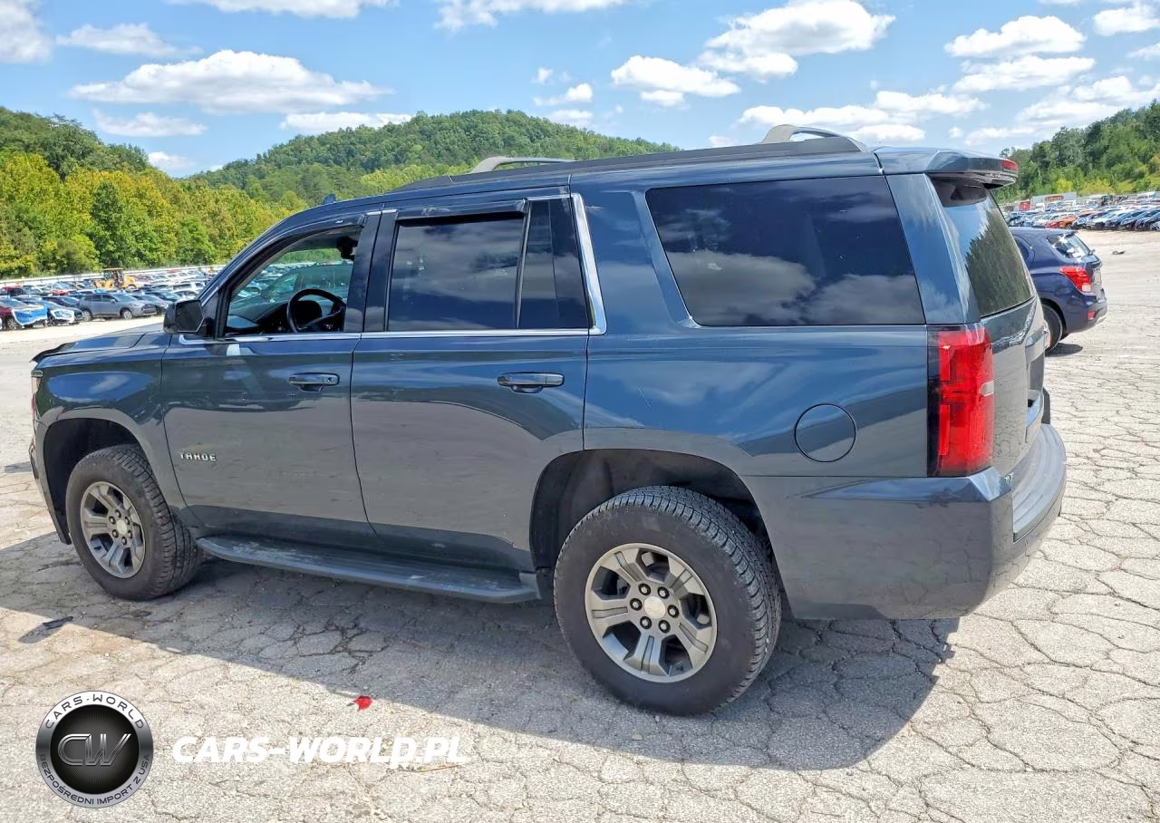 2020 Chevrolet Tahoe K1500 Ls VIN:1GNSKAKC7LR132101 - 2