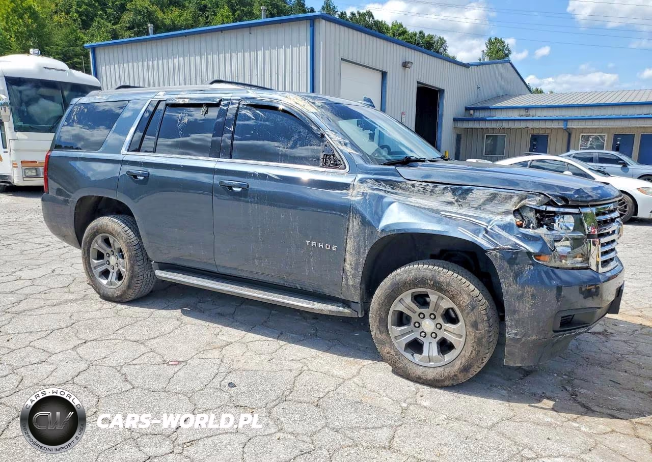 2020 Chevrolet Tahoe K1500 Ls VIN:1GNSKAKC7LR132101 - 4