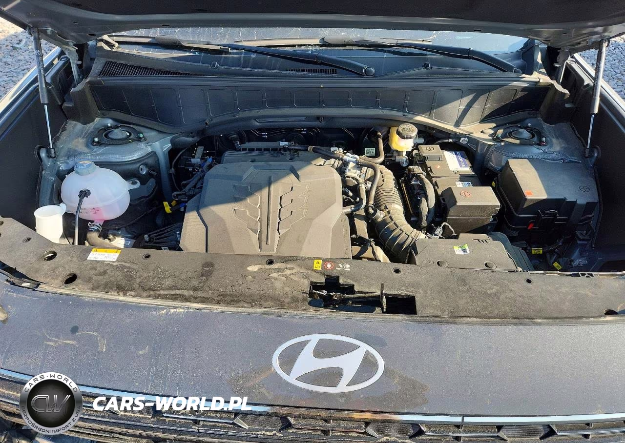 2026 Hyundai Palisade Calligraphy VIN:KM8RMES2XTU060402 - 12