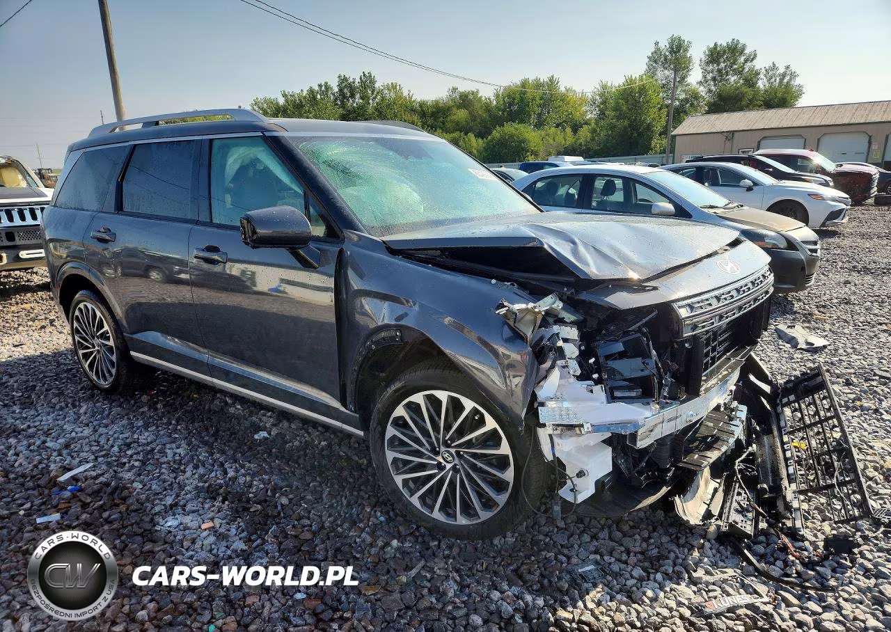 2026 Hyundai Palisade Calligraphy VIN:KM8RMES2XTU060402 - 4