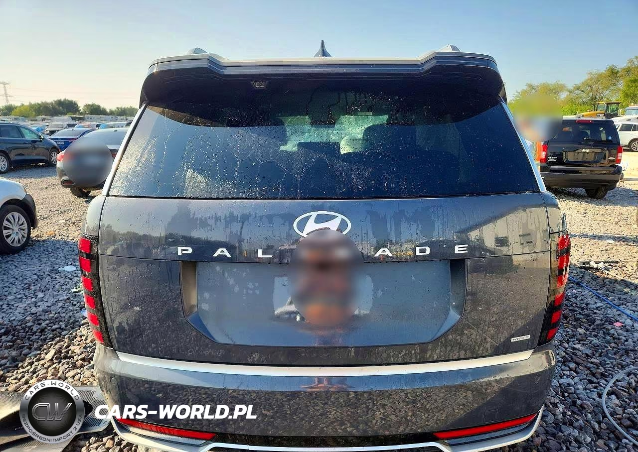 2026 Hyundai Palisade Calligraphy VIN:KM8RMES2XTU060402 - 6
