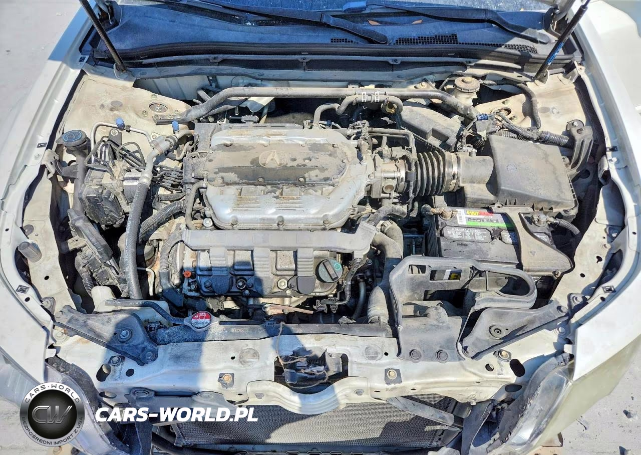 2010 Acura Tl VIN:19UUA8F52AA020151 - 11
