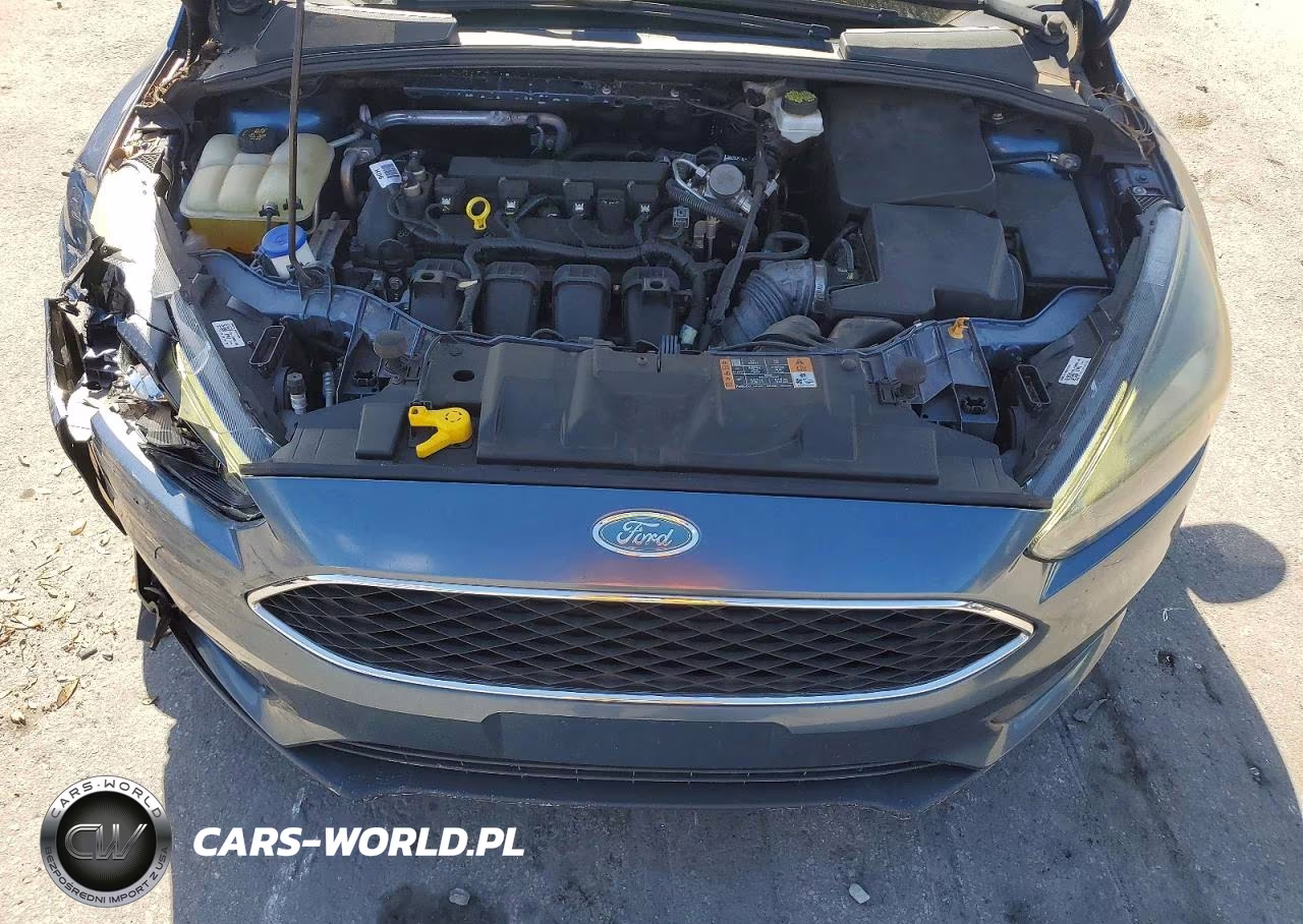 2018 Ford Focus Sel VIN:1FADP3M21JL308441 - 11