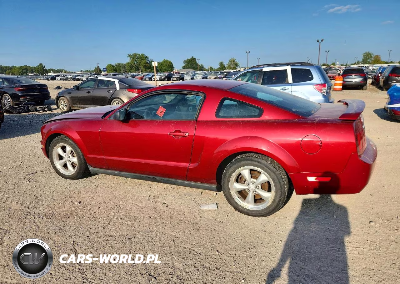 2005 Ford Mustang VIN:1ZVFT80N755155552 - 2