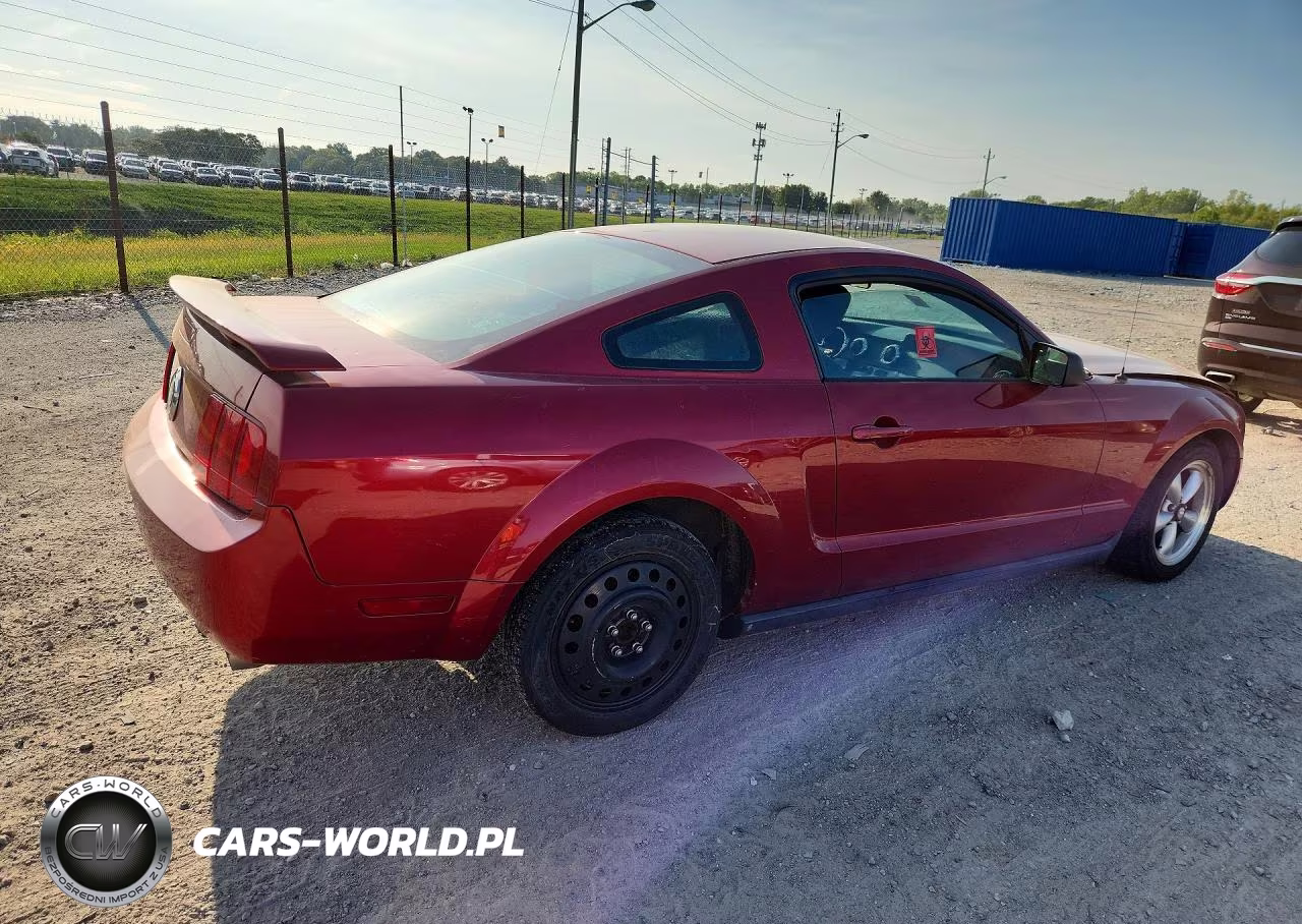 2005 Ford Mustang VIN:1ZVFT80N755155552 - 3