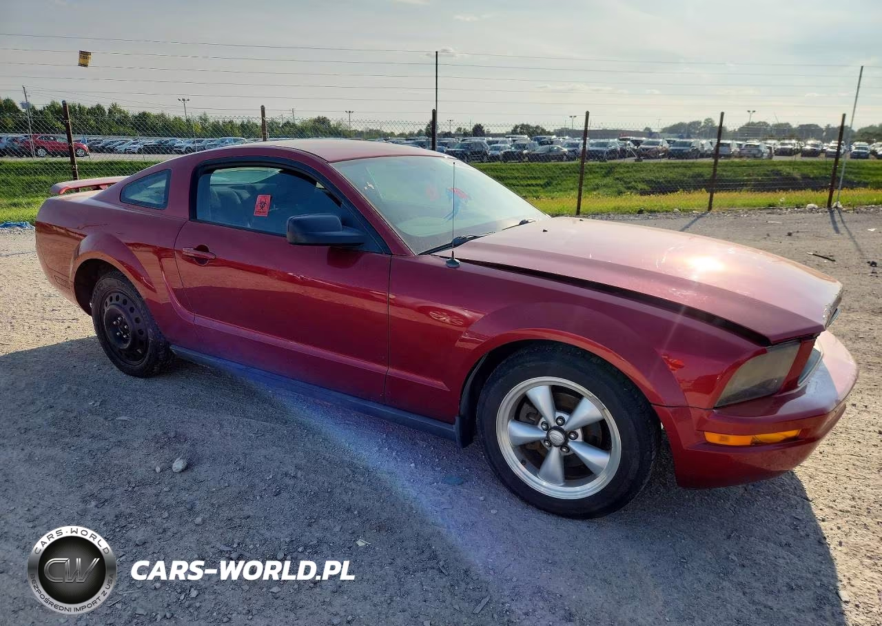 2005 Ford Mustang VIN:1ZVFT80N755155552 - 4