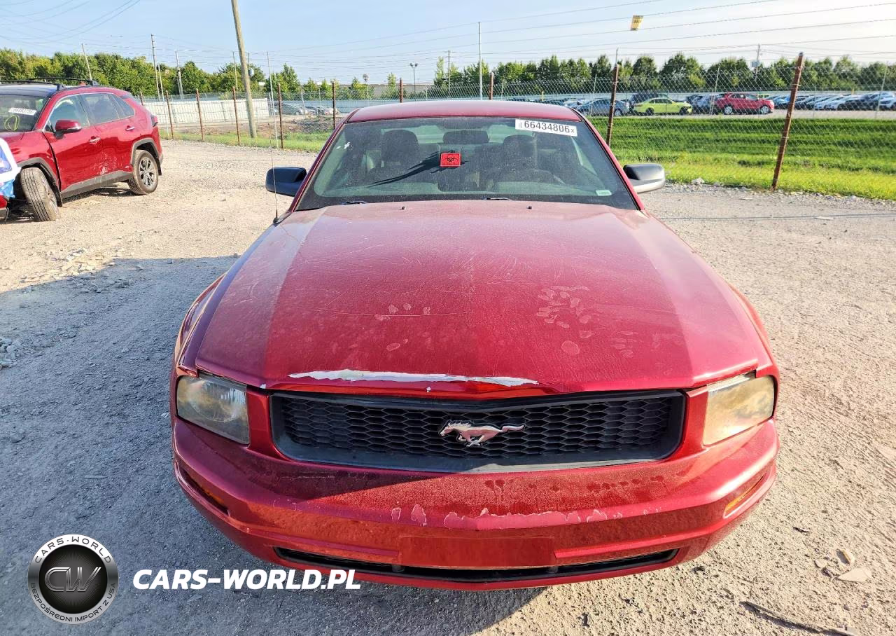 2005 Ford Mustang VIN:1ZVFT80N755155552 - 5