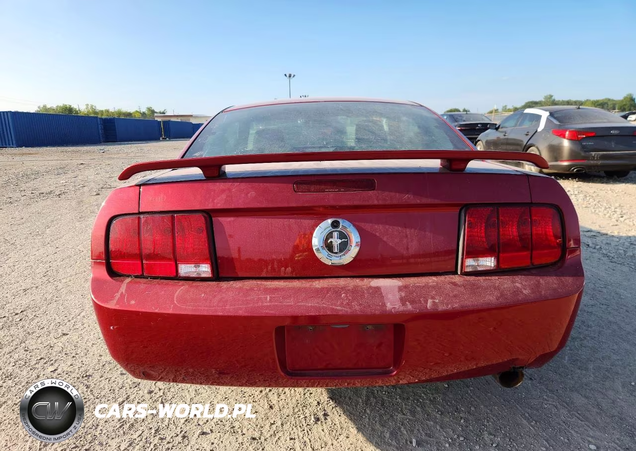 2005 Ford Mustang VIN:1ZVFT80N755155552 - 6