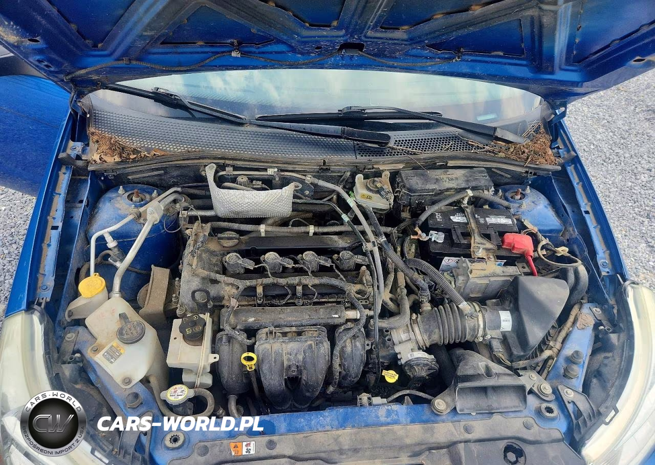 2010 Ford Focus Se VIN:1FAHP3FN1AW201106 - 11