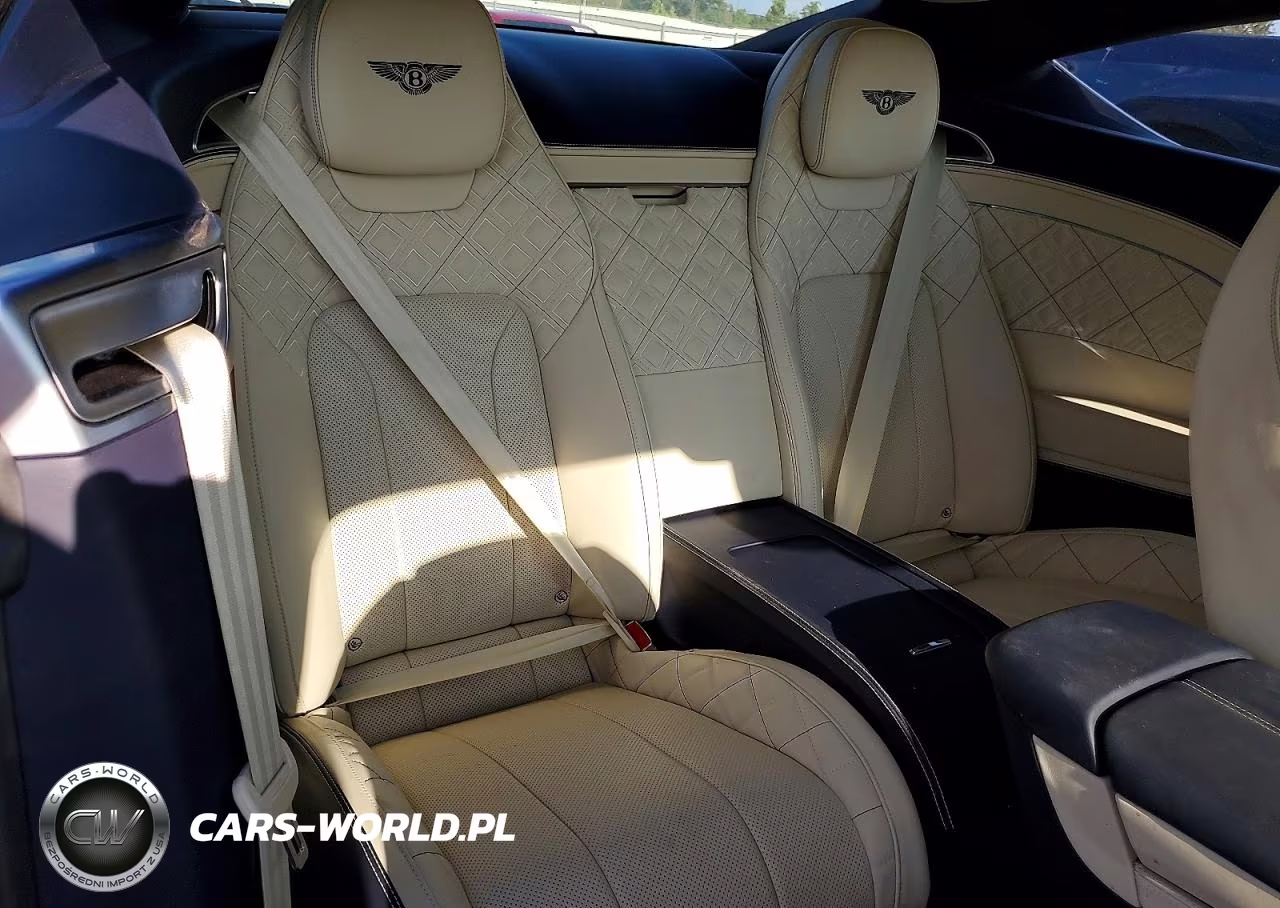 2020 Bentley Continental Gt VIN:SCBCG2ZG6LC082858 - 10