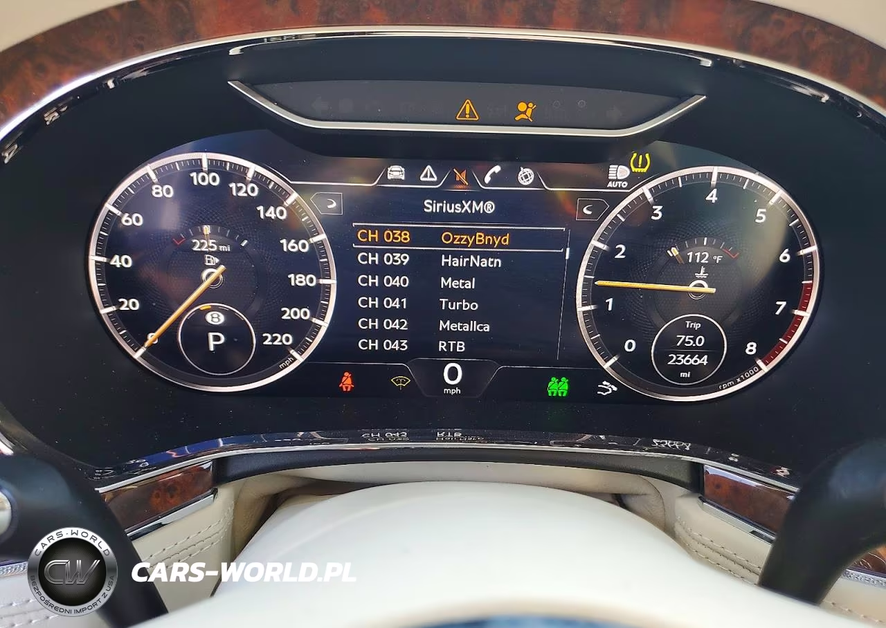 2020 Bentley Continental Gt VIN:SCBCG2ZG6LC082858 - 9