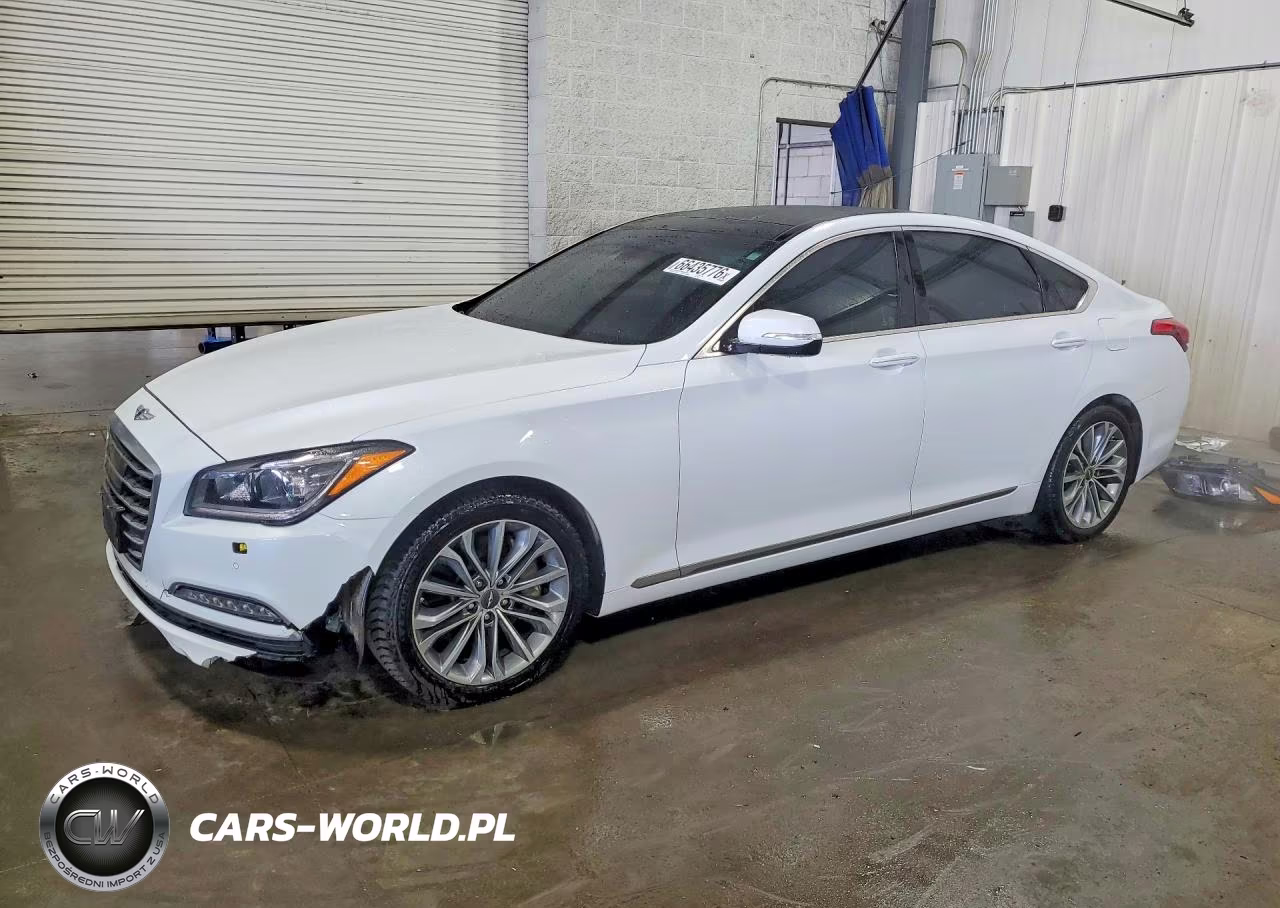 2017 Genesis G80 3.8 VIN:KMHGN4JE2HU202923 - 1