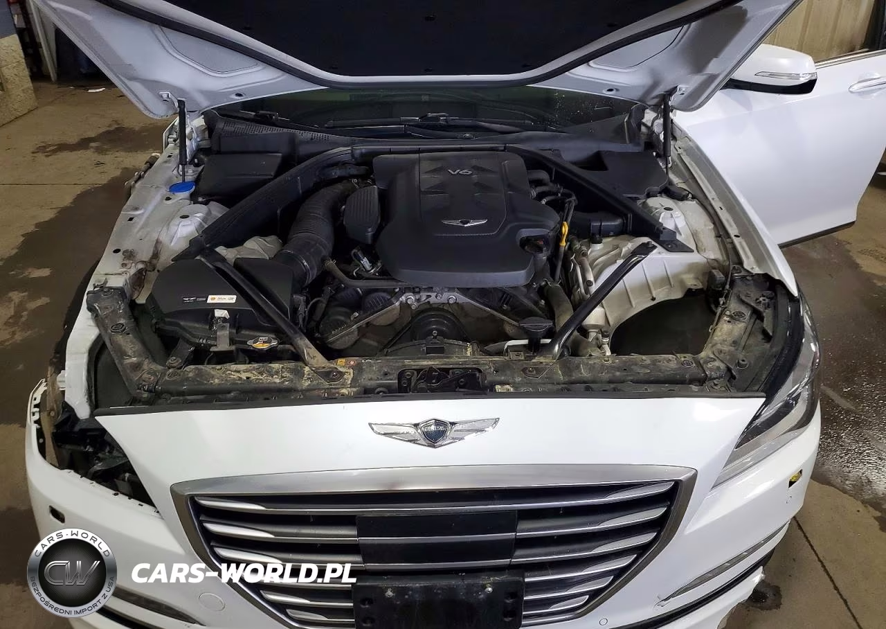 2017 Genesis G80 3.8 VIN:KMHGN4JE2HU202923 - 11