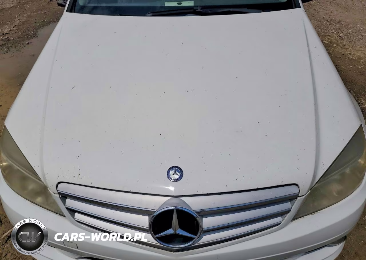 2010 Mercedes-Benz C 300 VIN:WDDGF5EB7AR088391 - 11